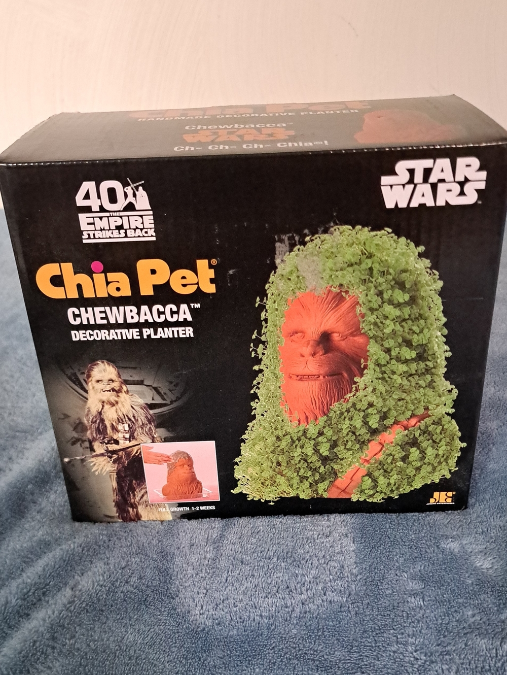 Chewbacca Decorative Planter - Green Chia Pet